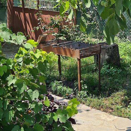 "Budur" Guest House Gandzakar Ngoại thất bức ảnh